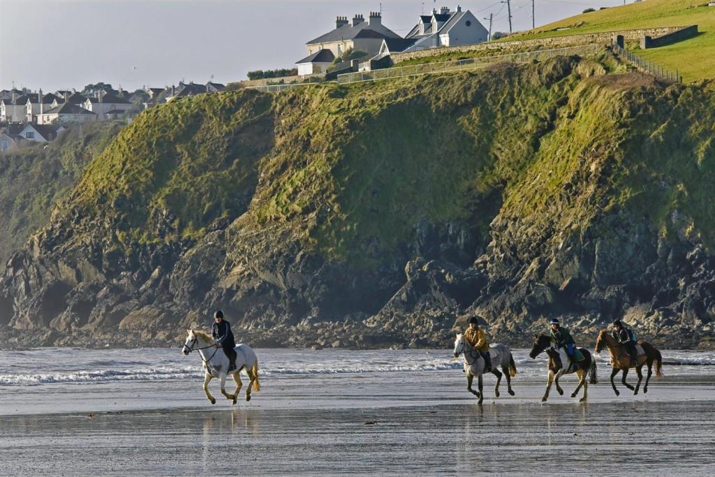 Beach Haven B&B Tramore Kamer foto